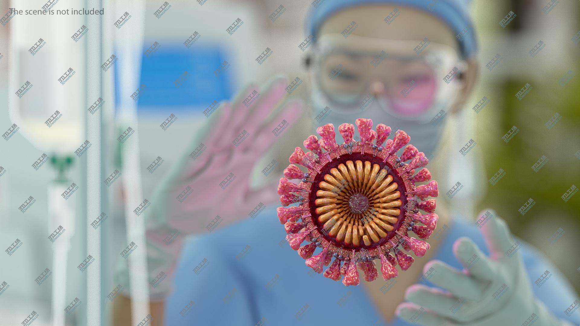 images/goods_img/20210313/Coronavirus 2019-nCoV SARS-CoV-2 Cross Section 3D/5.jpg